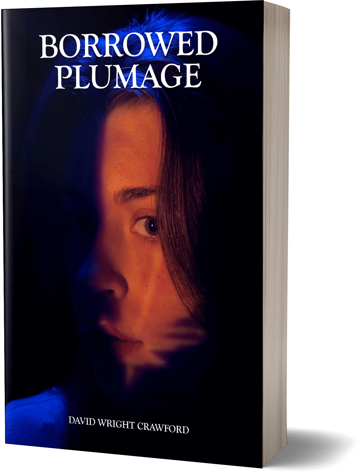 Book Publishing